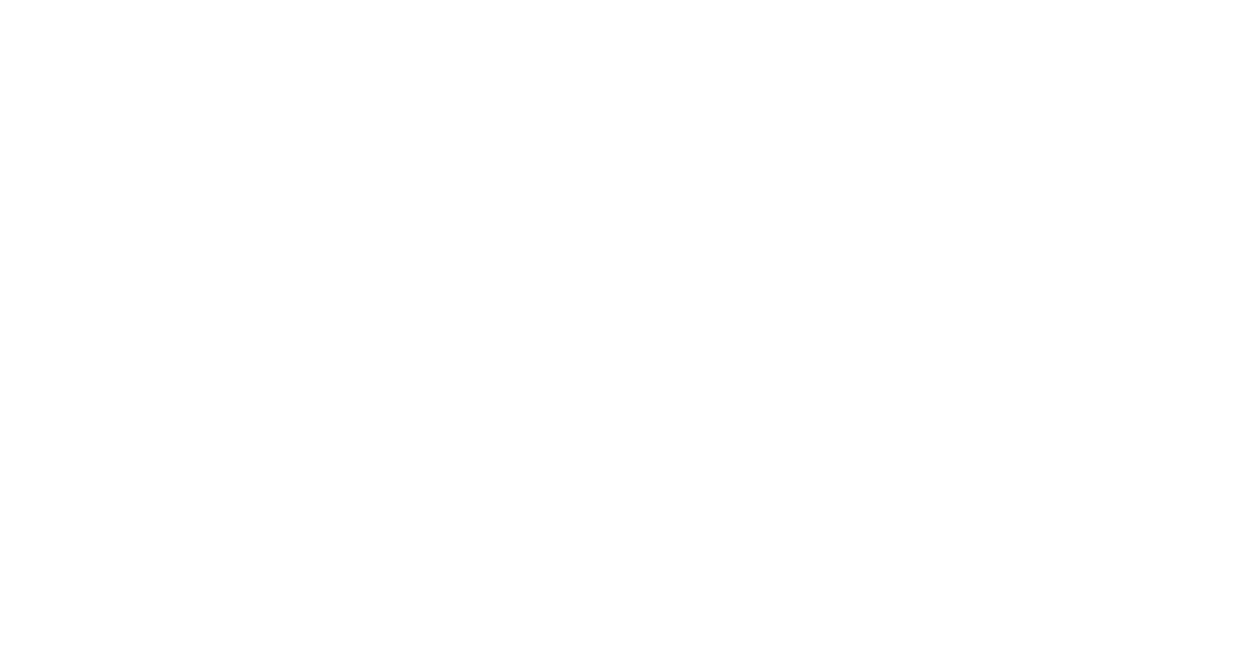 Alpha Concierge